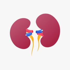 Compromisso renal